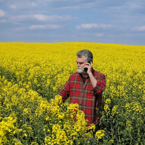 Çiftçi Tarımcı Tarladaki Kanola Bitkilerinin Kalitesini Denetliyor Cep Telefonuyla Konuşuyor — Stok fotoğraf