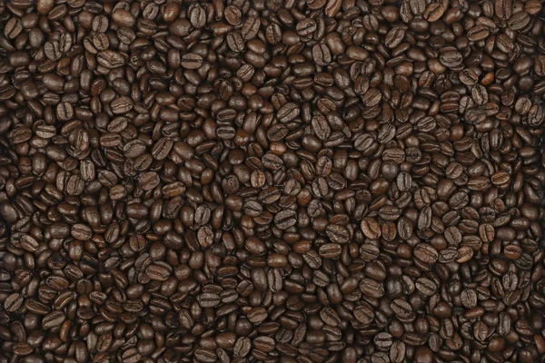 Dispersion des grains de café, gros plan . — Photo