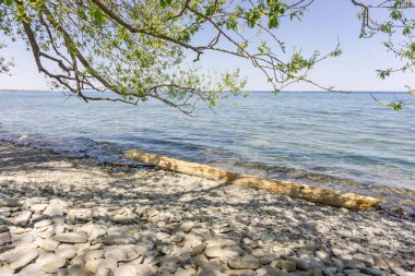 Gölü kıyısındaki Ontario bir ağaç günlük ile