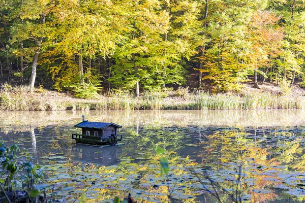 Lindo miniatura de madera casa lago estanque senderismo ambiente de viaje — Foto de Stock