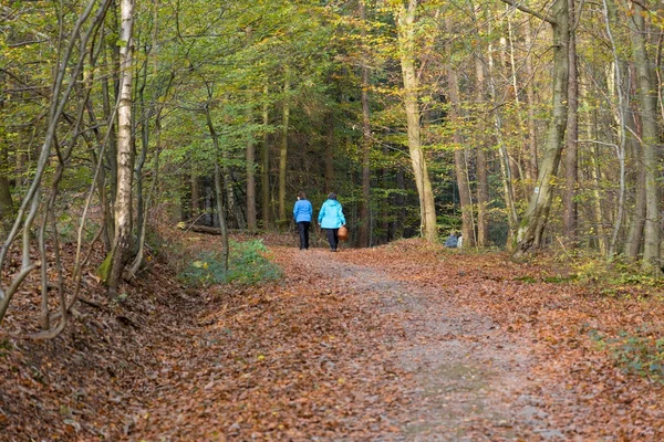 Twee vrouwen lopen in het bos op zoek naar paddestoelen te verzamelen — Stockfoto
