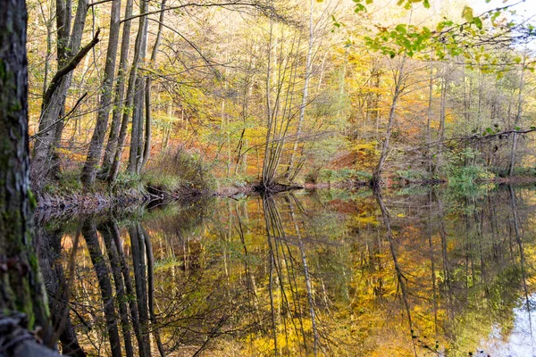 Costa de un pequeño estanque que refleja los árboles en los colores de otoño en el — Foto de Stock