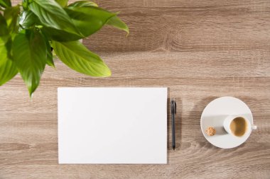 Espresso yeşil bitki ve beyaz boş kağıt ve kalem ile masada