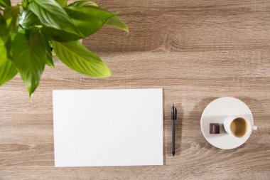 Espresso yeşil bitki, kahve çekirdekleri ve beyaz boş tablo