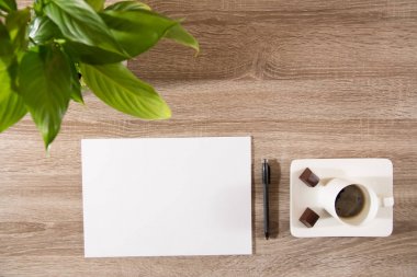 Kahve Tablo yeşil bitki, kahve çekirdekleri ile beyaz boş p