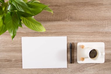 Kahve Tablo yeşil bitki, kahve çekirdekleri ile beyaz boş p