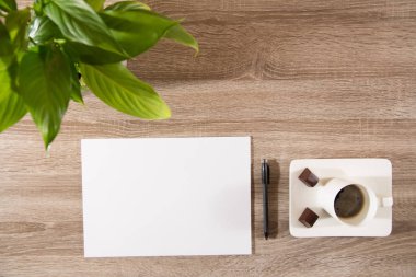 Kahve Tablo yeşil bitki, kahve çekirdekleri ile beyaz boş p