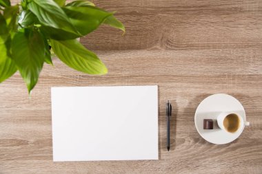 Espresso yeşil bitki, kahve çekirdekleri ve beyaz boş tablo