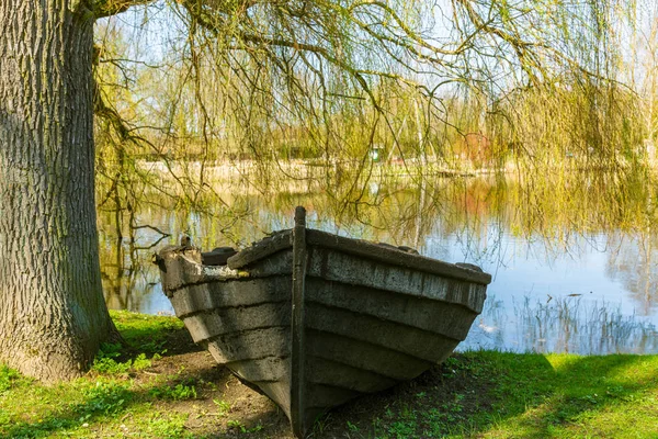 Viejo barco de madera desgastado en tierra bajo un árbol cerca de un pequeño estanque — Foto de Stock