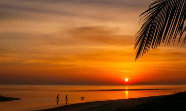 güzel kırmızı günbatımı denize 