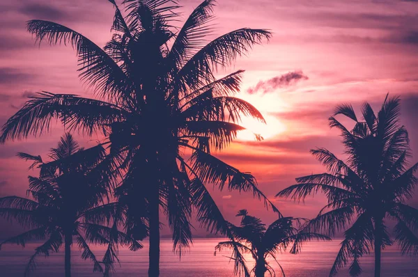 Por Sol Tropical Sobre Mar Com Coqueiros Tailândia — Fotografia de Stock