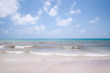 Endüstriyel atıklarla kirletilmiş deniz