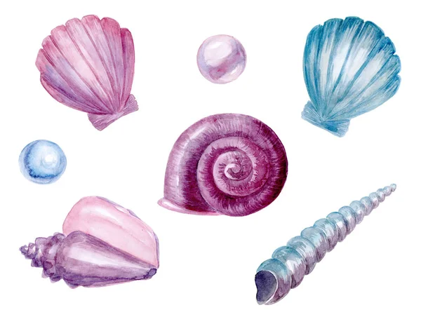 Kompilacja muszli i perły Morza — Zdjęcie stockowe