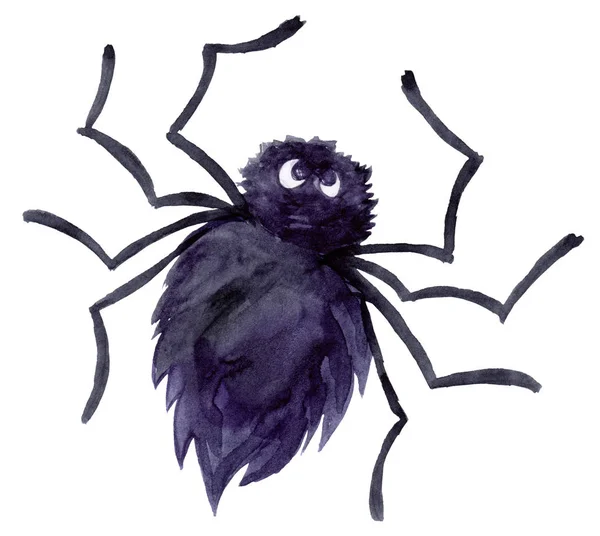 Aranha negra halloween — Fotografia de Stock
