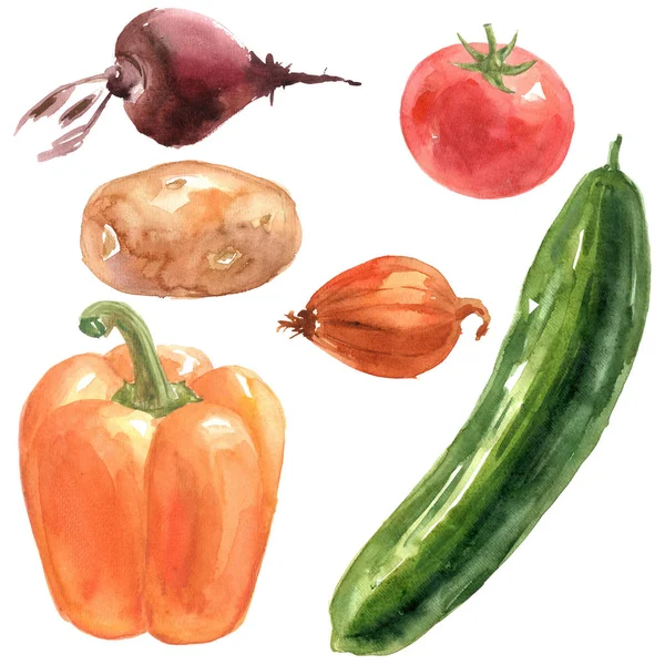 Zestaw świeżych warzyw — Zdjęcie stockowe