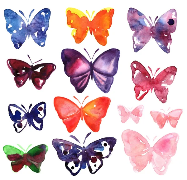 Colorful butterflies collection