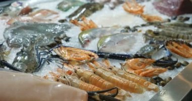 Güzel taze deniz ürünleri buz masaya yalan. Deniz ürünleri Dükkanı