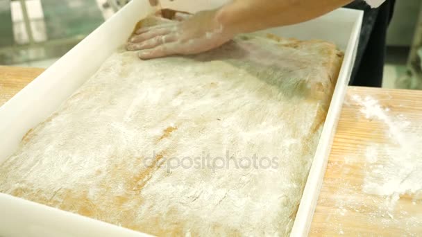Male hands prepare the dough for baking and take it away — Stock Video