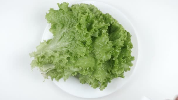 Amount of calories in cabbage, male hand puts a plate with the number of calories on a cabbage, top shot — Stock Video