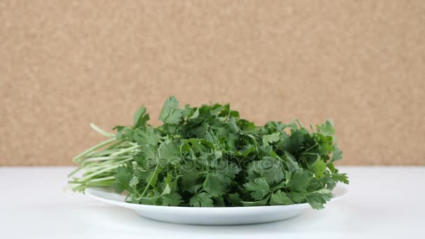 Amount of calories in parsley, male hand puts a plate with the number of calories on a parsley — Stock Video