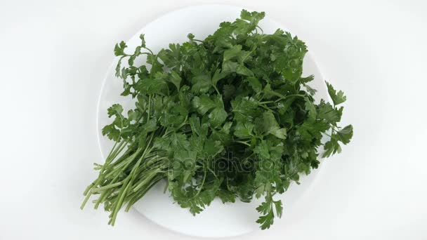 Amount of calories in parsley, male hand puts a plate with the number of calories on a parsley, top shot — Stock Video