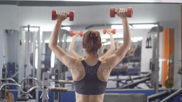 Joven hermosa chica deportiva haciendo prensa de hombro con pesas haciendo ejercicio en un gimnasio deportivo, vista lateral trasera — Vídeo de stock