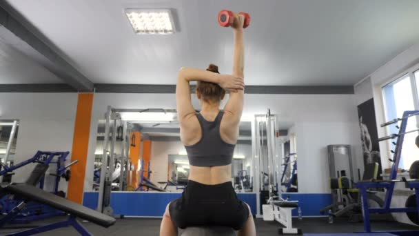 Chica joven deportiva haciendo ejercicio de extensión de tríceps mientras está sentado en el banco de deportes en el gimnasio. Vista lateral trasera 60 fps — Vídeos de Stock