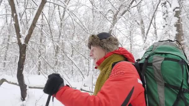 Idosos caucasianos sorrindo homem com caminhadas Varas caminha através de uma floresta nevada. Espessa densa moita de árvores e raízes na floresta coberta de neve. Caminhada e conceito de viagem. Vista lateral 60 fps — Vídeo de Stock