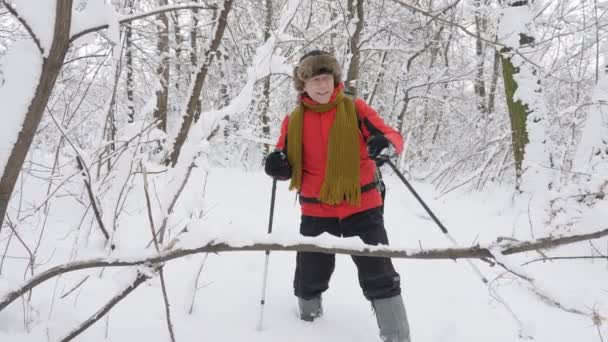 Homem caucasiano velho faz o seu caminho com Hiking Sticks através de moitas em uma densa floresta nevada. Espessa densa moita de árvores e raízes na floresta coberta de neve. Caminhada e conceito de viagem, vista frontal — Vídeo de Stock