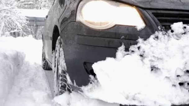 Coche negro conduce lentamente en un bosque cubierto de nieve, espeso matorral denso de árboles y raíces en el bosque cubierto de nieve. Caminata y concepto de viaje, cerca de 60 fps — Vídeo de stock