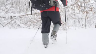 Yaşlı beyaz adam çalılıkları çekerdi Hiking sopa ile yoğun bir karlı orman içinde yapar. Ağaçlar ve karla kaplı ormanda kökleri kalın yoğun çalılık. Yürüyüş ve kavramı, seyahat kar