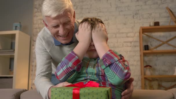 Der Großvater macht seinem Enkel ein Geschenk. Ein älterer Mann schenkt einem dicken Kind ein Geschenk. Freude, Überraschung, Glück, Emotion, Gefühl, impulsiv, gegenwärtig. Wohnkomfort, Familienidylle, Gemütlichkeitskonzept — Stockvideo