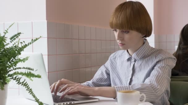 年轻漂亮的红头发的女孩在笔记本电脑上工作, 短信, 打字, 互联网。肖像.60 fps — 图库视频影像