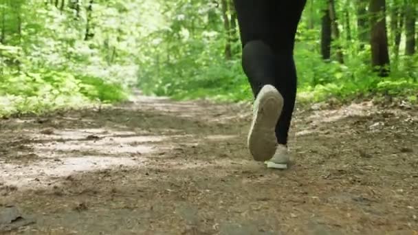 Primer plano de las piernas femeninas en zapatillas de correr trotando en el bosque 50 fps — Vídeo de stock