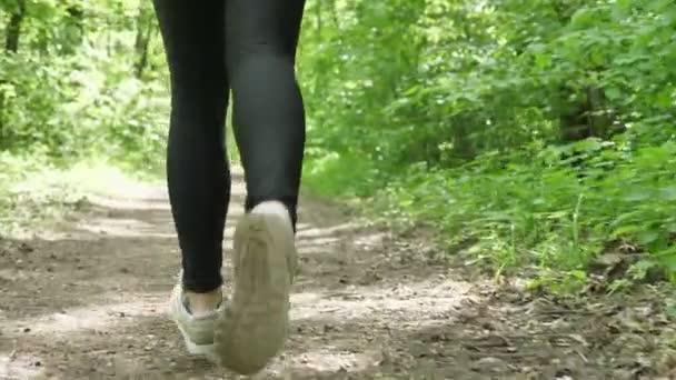 Gros plan des jambes féminines dans les chaussures de course jogging dans la forêt 50 fps — Video