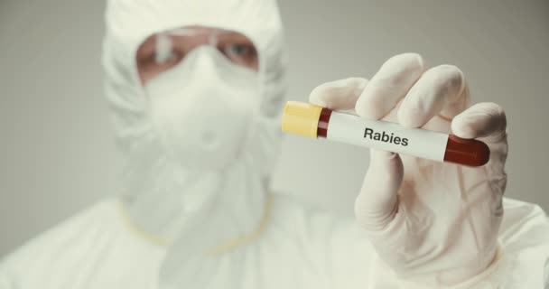 Scientist laboratory protection glasses test tube concept rabies blood gray background — Stock Video