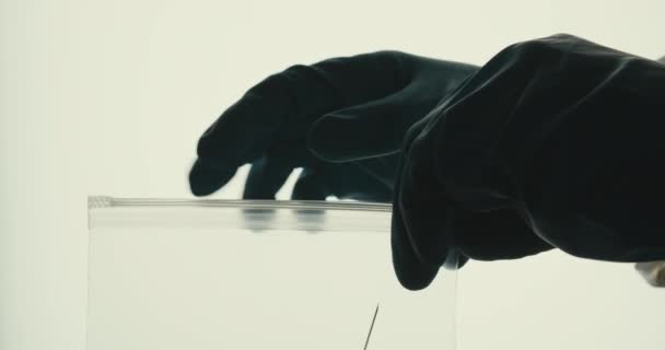 A közeli laboráns laboratóriumi asszisztens egy használt fecskendővért helyez egy celofán vákuumzsákba fehér háttér — Stock videók