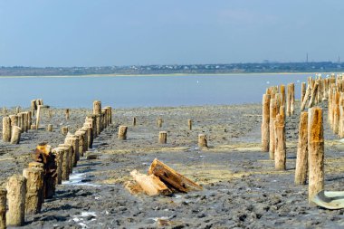 Deniz burnu, kumlu sahilde ahşap yığınları.