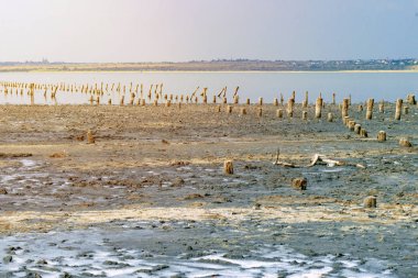 Deniz burnu, kumlu sahilde ahşap yığınları.