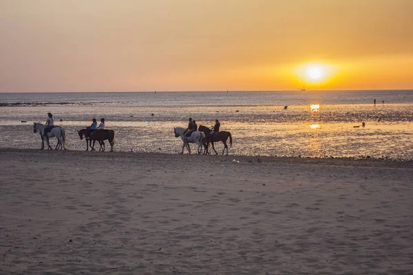 Люди верхом на лошадях прогуливаются по пляжу на закате — стоковое фото