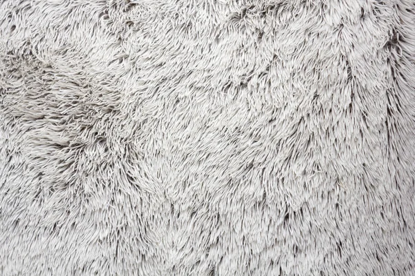 Blanket texture with white hairs — Stock Photo, Image