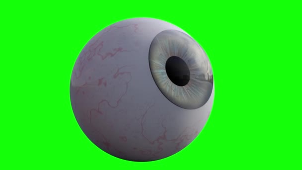 Анимация Человеческий Глаз Оглядывается Вокруг — стоковое видео