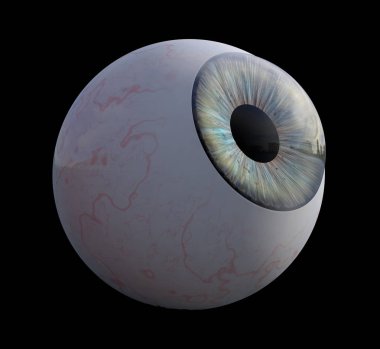 3D illustration - Human eye isolated on black background clipart