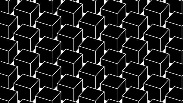 Анимация Монохромный Абстрактный Фон Вращающихся Петле Кубиков — стоковое видео