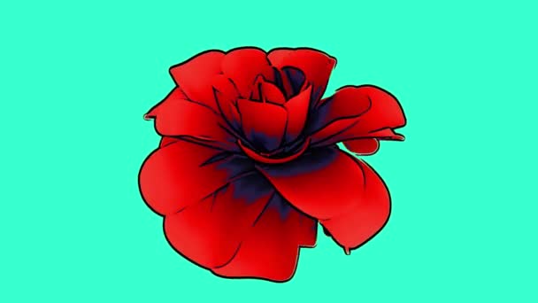 Flor Roja Sobre Fondo Turquesa Con Animación Estilo Dibujos Animados — Vídeos de Stock