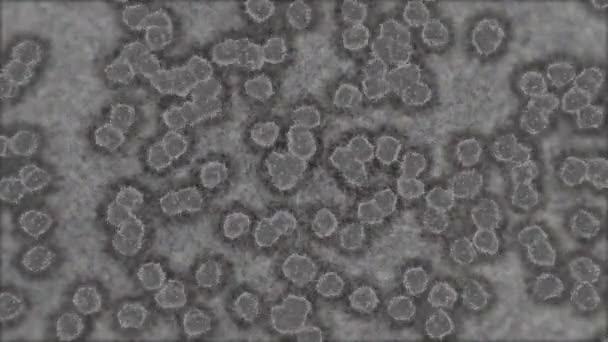 Animation Realistic Virus Observed Microscope — Stock Video