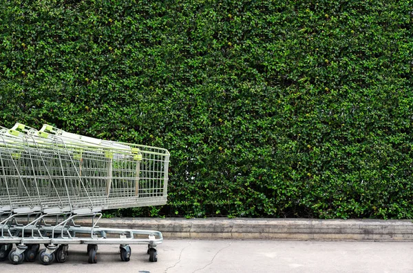 Carrinhos de compras rema ao ar livre preparar para a temporada de venda altamente — Fotografia de Stock