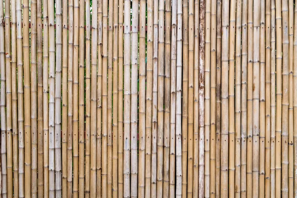 Bambu vägg, bambu staket bakgrund. — Stockfoto