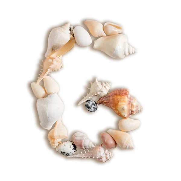 Diverse zee schelpen hoofdletter G op geïsoleerde witte achtergrond — Stockfoto