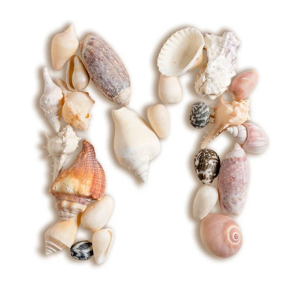 Various sea shells capital M on isolated white background — Stock Photo, Image